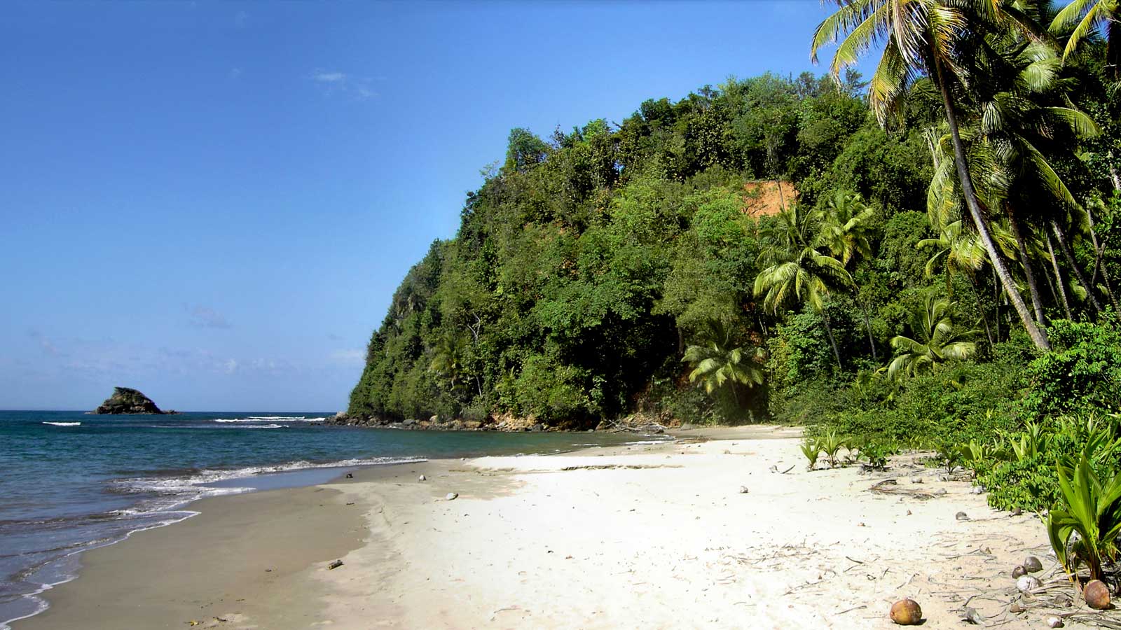 dominica